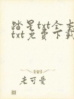 踏星txt全本txt免费下载