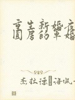 重生新婚夜正在圆房的军婚