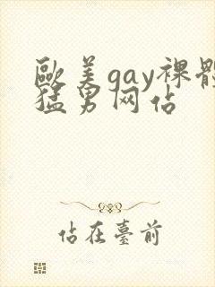 欧美gay裸体猛男网站封面