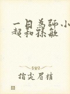 一日为师小说李超和孙敏