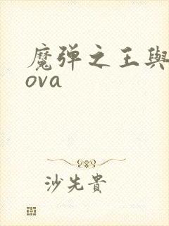 魔弹之王与战姬ova