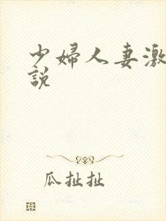 少妇人妻激情小说