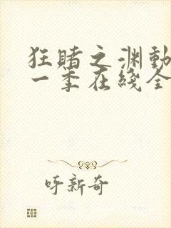 狂赌之渊动漫第一季在线全集免费观看