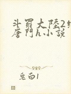 斗罗大陆2绝世唐门h小说