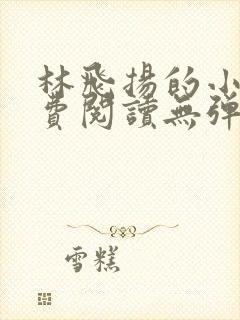 林飞扬的小说免费阅读无弹窗封面