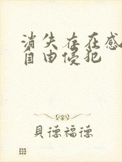 消失存在感消失自由侵犯