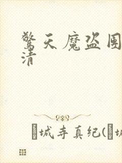 惊天魔盗团2高清