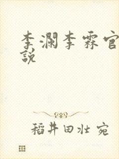 李澜李霖官场小说
