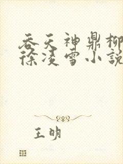 吞天神鼎柳无邪徐凌雪小说封面