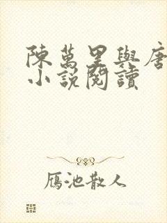 陈万里与唐嫣然小说阅读封面