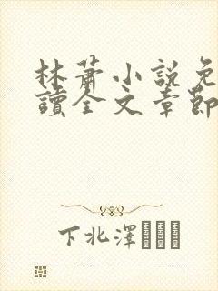 林萧小说免费阅读全文章节封面