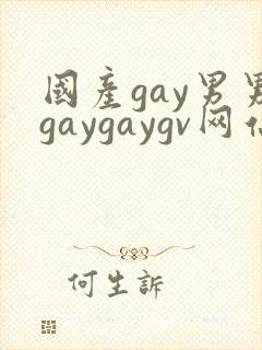 国产gay男男gaygaygv网站