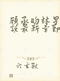 顾承昀林星禾小说最新章节免费阅读