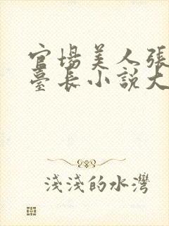 官场美人张涵和台长小说大结局封面