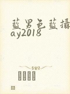 蓝男色蓝摄摄gay2018