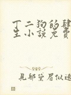 丁二狗的肆意人生小说免费阅读