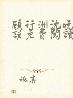 顾行洲沈晚宁小说免费阅读最新章节