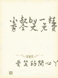 小叔by一枝独秀全文免费阅读笔趣阁最