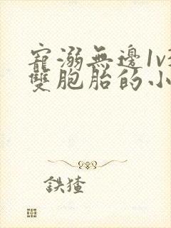 宠溺无边1v3双胞胎的小说