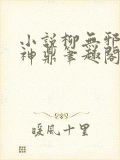 小说柳无邪吞天神鼎笔趣阁