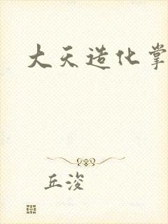 大天造化掌封面