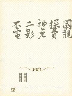 不二神探国语版电影免费观看