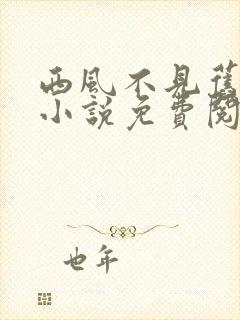 西风不见旧时景小说免费阅读全文封面