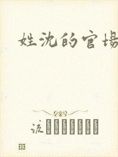 姓沈的官场小说