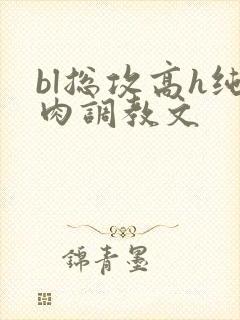 bl总攻高h纯肉调教文