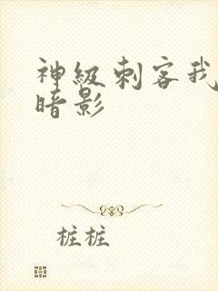 神级刺客我即是暗影