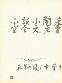 小说小阁老无弹窗全文免费阅读