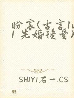 盼寡(古言1v1 先婚后爱)