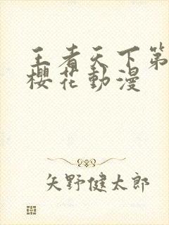 王者天下第6季樱花动漫