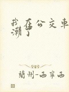 我在公交车上高潮了封面