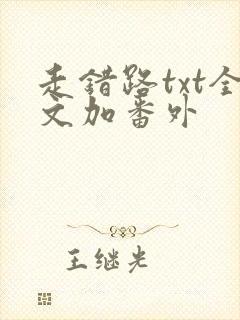 走错路txt全文加番外