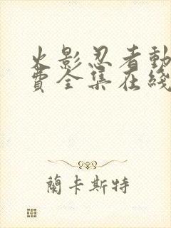 火影忍者动漫免费全集在线