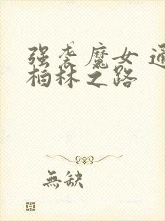 强袭魔女 通向柏林之路