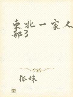 东北一家人第一部3封面