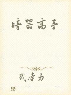 暗器高手