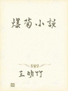 爆菊小说
