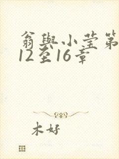 翁与小莹第十部12至16章