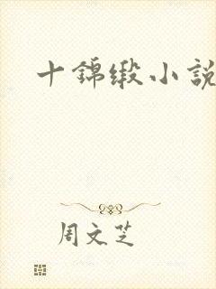 十锦缎小说
