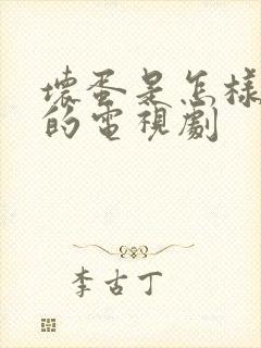 坏蛋是怎样炼成的电视剧封面