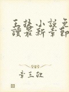 王扶小说免费阅读最新章节无弹窗