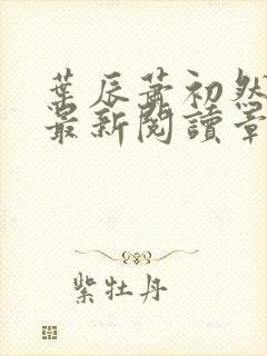 叶辰萧初然免费最新阅读章节