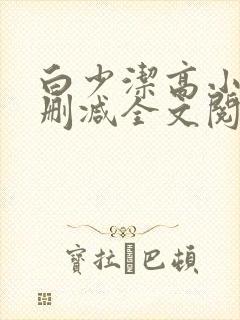 白少洁高小坡无删减全文阅读封面