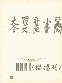 大罗哥小慧小说全文免费阅读