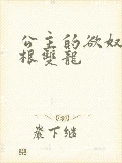 公主的欲奴h四根双龙