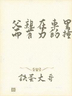 父亲在车里缓慢而有力的撞着封面