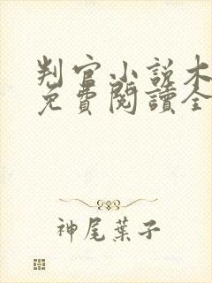 判官小说木苏里免费阅读全文无弹窗封面